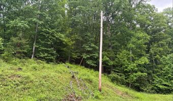 Tdb Cove Creek Rd, Bastian, VA 24314