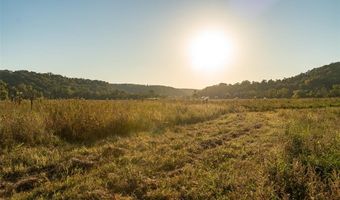 4495 County Road 405, Alton, MO 65606