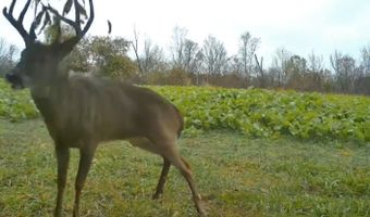9096 State Route 41, Aberdeen, OH 45101