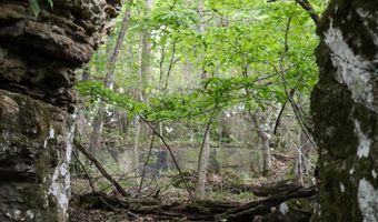 Whiskey Creek Lane, Batesville, AR 72501