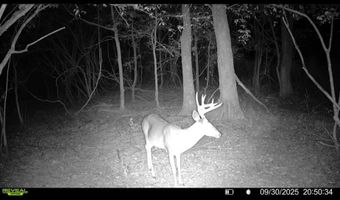 Putnam Road, Belzoni, MS 39038