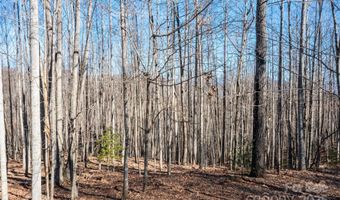 1306 Double KNob Dr, Arden, NC 28704