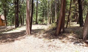 232 Iroquois Dr, Camp Connell, CA 95223