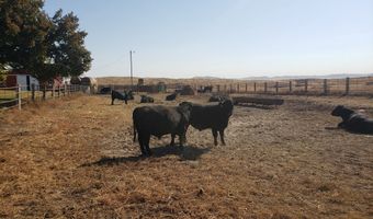 210259 County Road 34, Bayard, NE 69334