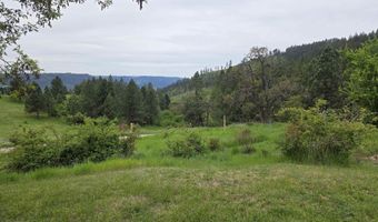 1521 Summitview Dr, Ahsahka, ID 83520