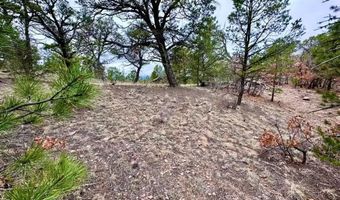 Lot 5 Holmes Rd, Cotopaxi, CO 81223