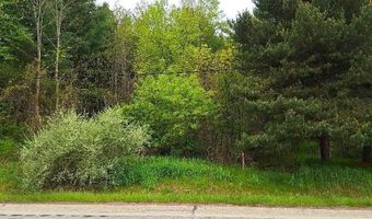 Parcel 2 Lakeshore Road, Applegate, MI 48401