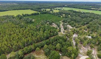 3670 25th Cir, Bell, FL 32619