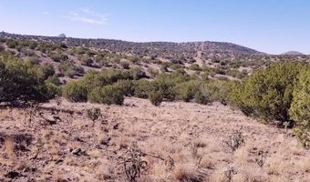 407 Texas Oak, Alpine, TX 79830