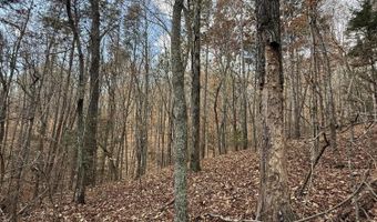 Parksville Road lot 1, Benton, TN 37307