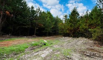 644 Ash-Harrel Loop, Abbeville, GA 31001