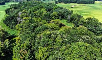 956 160th Ln NE, Ham Lake, MN 55304