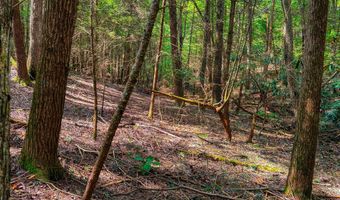 54 E Ridge Rd, Allardt, TN 38504