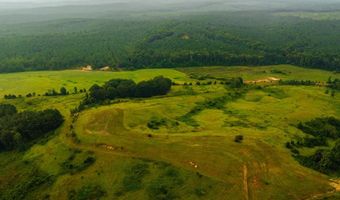 1037 Cr 300, Big Creek, MS 38914
