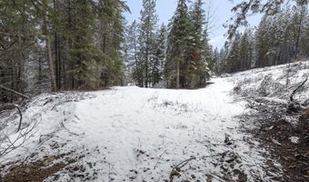 84 Hagans Hallow Rd, Careywood, ID 83809