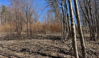 Lot # 70 Tall Tree Lane, Banner Elk, NC 28604