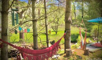 3 Taproot Trl, Barnardsville, NC 28709