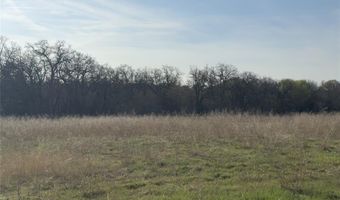 330 Rolling Ranch Blvd, Alvord, TX 76225