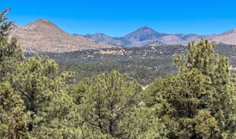 217 Deer Park Dr Lot 101, Alto, NM 88312