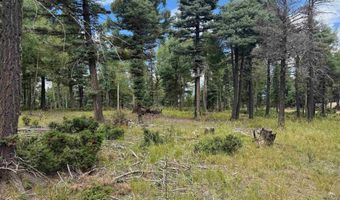 Lot 310 S Vail Overlook, Angel Fire, NM 87710