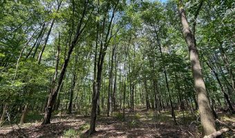 39 Acres N Pingree Rd, Alma, MI 48801