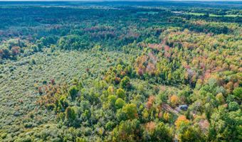 V/L S M-33, Alger, MI 48610