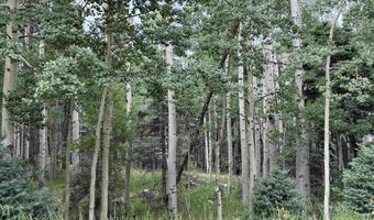 Back Basin Road lot 4, Angel Fire, NM 87710