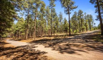 County Road 2325, Alpine, AZ 85920