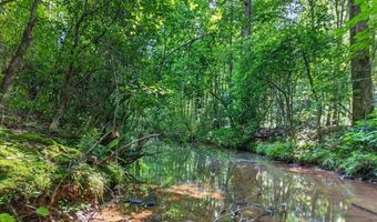 2025 Soap Creek Rd, Ball Ground, GA 30107