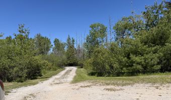 1205 Partridge Point Rd, Alpena, MI 49707