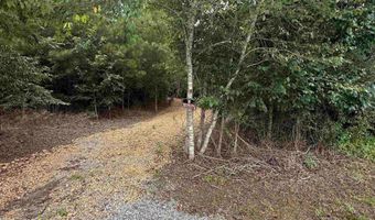 COUNTY ROAD 26 lot 0, Ashville, AL 35953