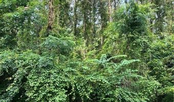 Cypress Point lot 155/155A, Akron, AL 35441