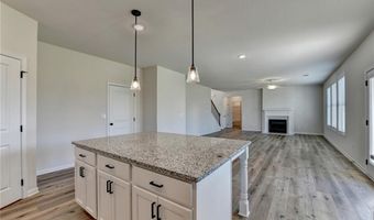 58 Longhorn Way, Auburn, GA 30011