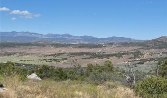 55355 Tule Peak Rd, Anza, CA 92536