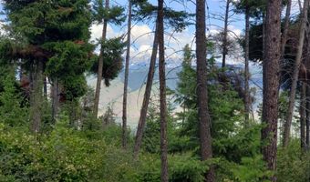 Arlee Pines lot 21, Arlee, MT 59821