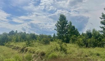 238 Lloyd Henderson Rd, Beebe, AR 72012