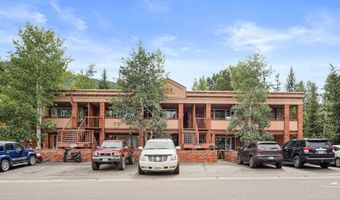 450 S Original St 8, Aspen, CO 81611