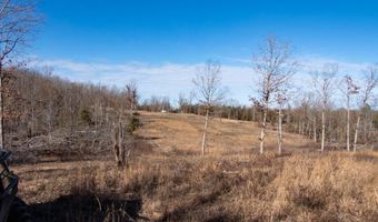 3968 Highway 167, Ash Flat, AR 72513