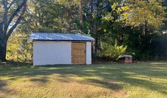 1011 CR 199, Blue Springs, MS 38828