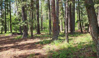12430 Rippling Waters Rd, Bigfork, MT 59911