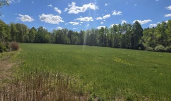 15252 27 Mile Rd, Albion, MI 49224