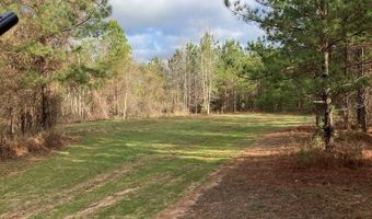 AL HWY 223, Banks, AL 36005