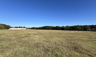 0 Tallahassee Hwy, Attapulgus, GA 39815