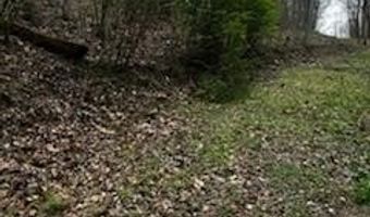 County Road 197, Athens, TN 37303