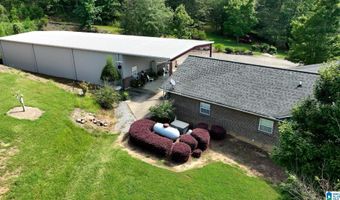 3941 SHOAL CREEK Rd, Ashville, AL 35953