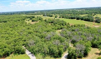 120 Bear Cat Ct, Alvord, TX 76225