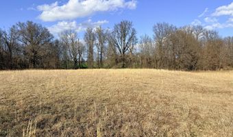 0001 CR-290, Asbury, MO 64832