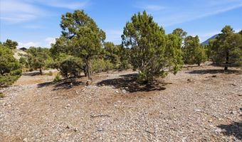 155 Oak Trail Cir, Cold Creek, NV 89124
