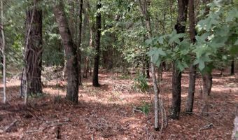 8070 Williford Rd, Adams Run, SC 29426