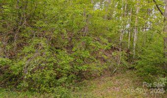 000 Buena Vista Dr 25, Barnardsville, NC 28709